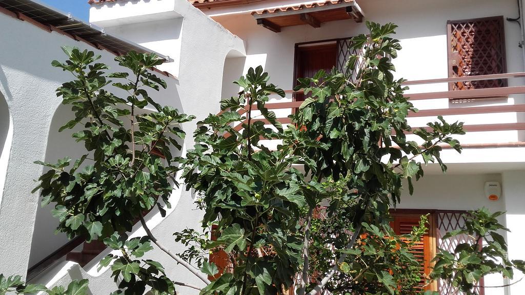 Villa Modus Vivendi Cinisi Exterior foto